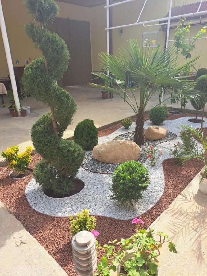 Royal Lux Guest House Samarkand Exterior photo